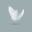 White Feather Movement