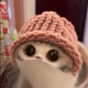 Coin image for Adyqvy5ipwzWG3ubeABF2gRATKWSjsdkzjz8BmoMpump