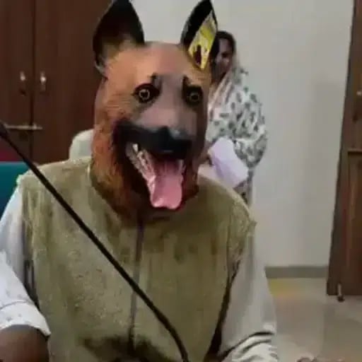 Doggy Brother
