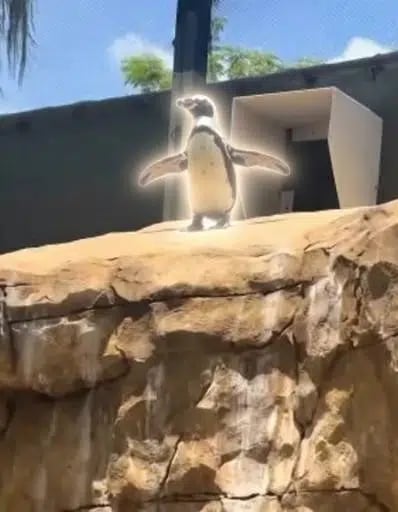 The Übermensch Penguin