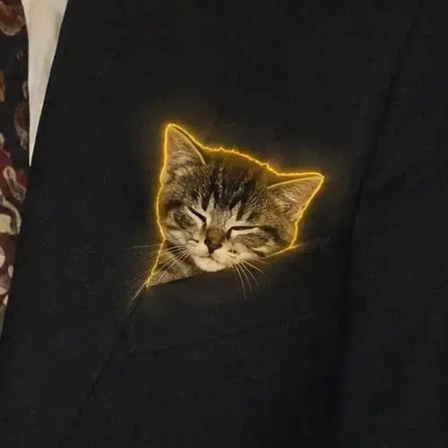 Pocket Pussy