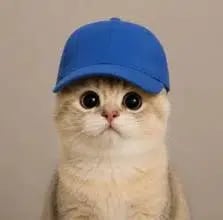catwifcap
