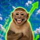 Coin image for DPmv9eYZY5SBB23eQznKEy8xNzkXeP1GQkJnuwq6Cmss