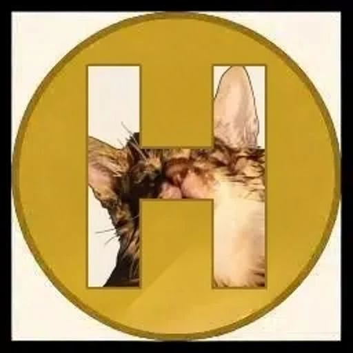 Hokicoin