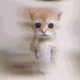 Coin image for EPTgDecepfB1pSQkGBvBCNnVf4uyJxfog8bkkCMWdZBX