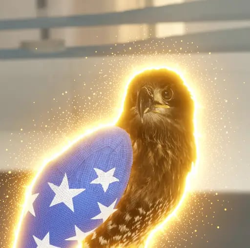 Rip Little Liberty