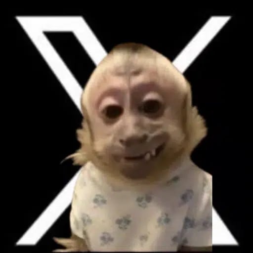 xmonkey