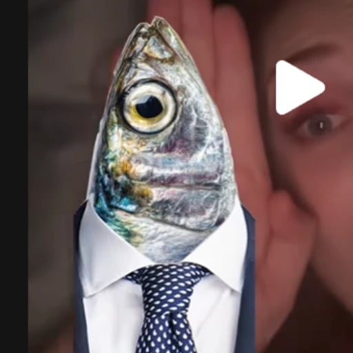 Sardine Tony