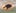 Ge87EtsjwRQbHaqQmKRno69RFTwh9bfSsm99XNxTpump logo