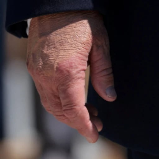 The Hand