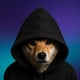 Coin image for GqdbWVwtETmwqKLK7h9FiUhUhMeXV9uVCzBmgysrpump