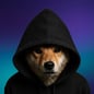 Coin image for GqdbWVwtETmwqKLK7h9FiUhUhMeXV9uVCzBmgysrpump