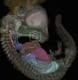 Coin image for HBCFeTd9Gv9hXWfxSF16ythMjUUKmJcvogbKwGrepump