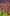 HGqYrGivWdWu7d7sa1gZB9TqvarVSbmL1Xw14qAgpump logo