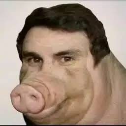 Nikita Boar