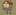 VNo7EjR3XVzvbjUgQrFAXNwSms34fHwHBt1Xoaopump logo