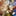 b5i2xzFMQTxXvq2kK3fsqwyopGcJWprAMrh3965pump logo
