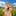 ppD2YACYxh36zS2yDWwMiCkqfQgTukJ9P2a2jMQpump logo