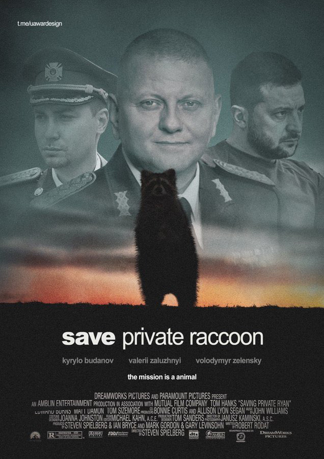 pirvate racoon