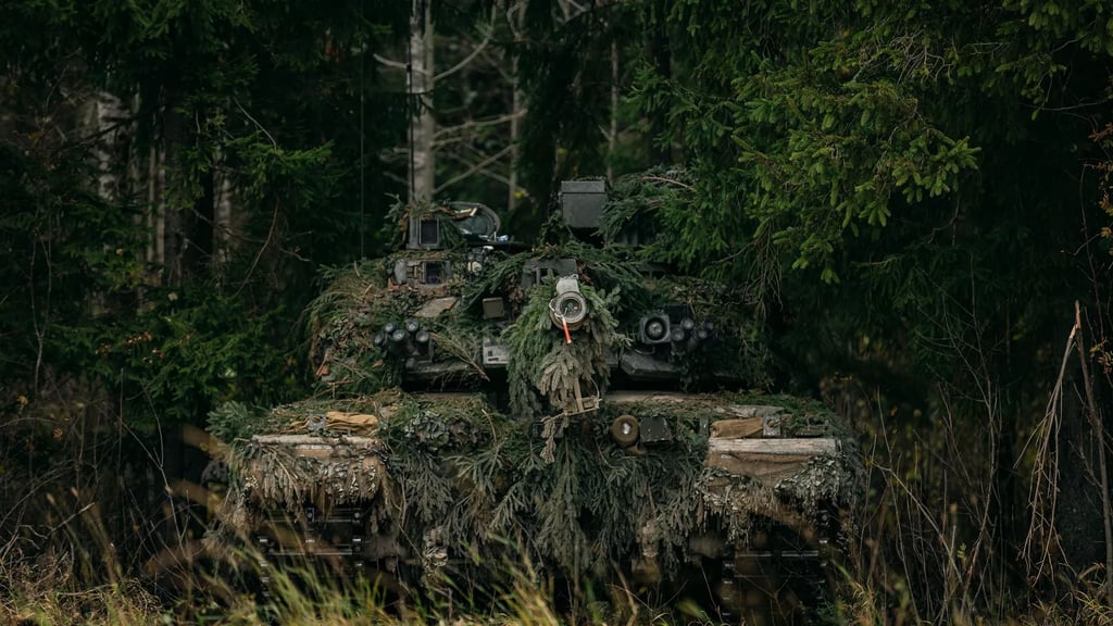 roonemaa nato