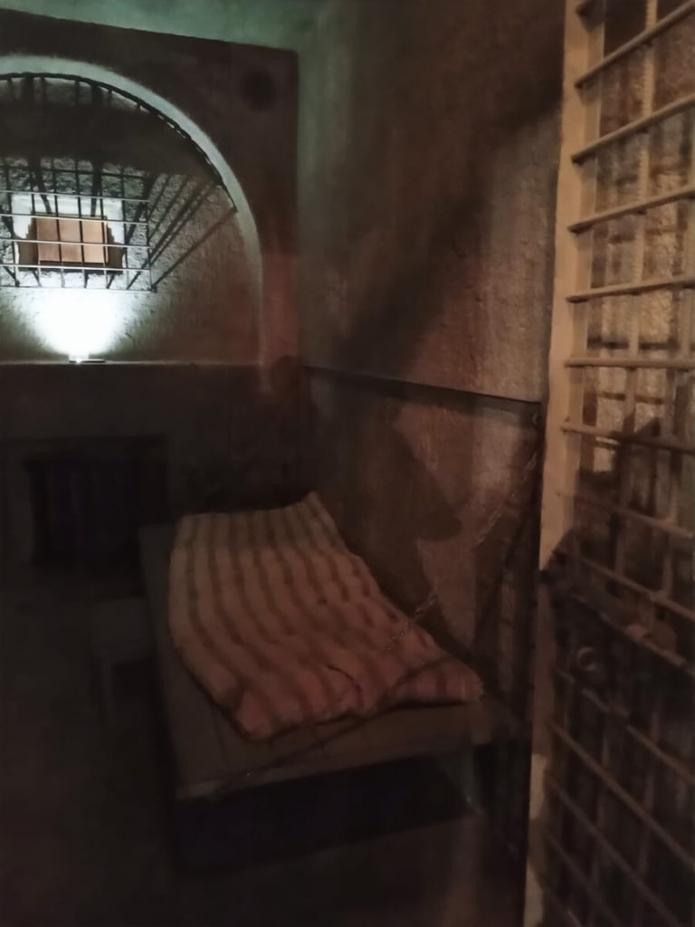 navalny cellule interieur