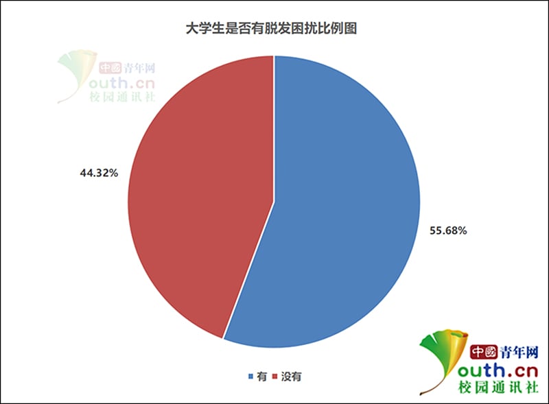 hair loss China Youth Daily