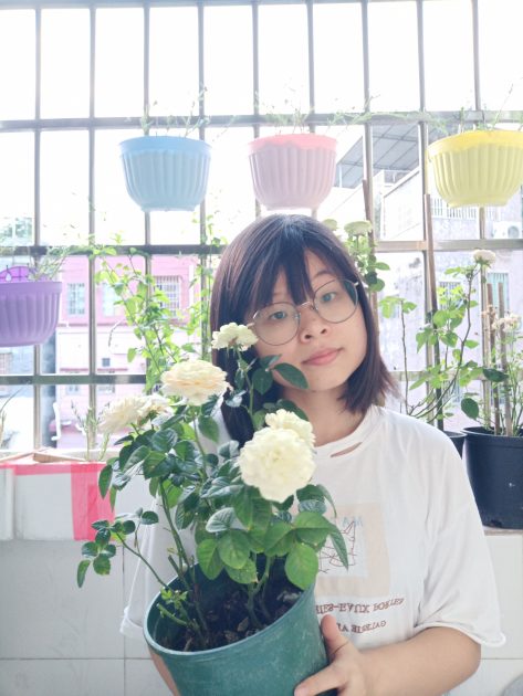 vegetable-garden-balcony-jiang-flower