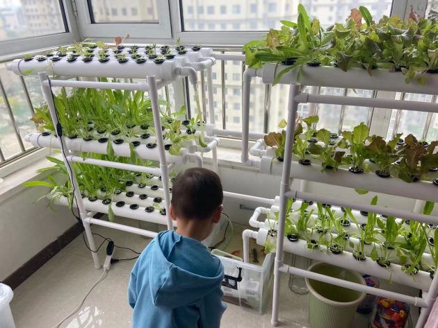 vegetable-garden-balcony-yuan