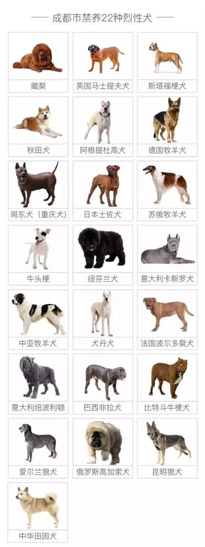 Chengdu banned dog breeds 2018