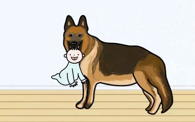 Feature image of Photo of the day: Dog and Baby