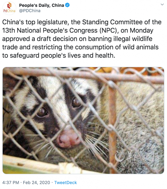 china wild animal market ban