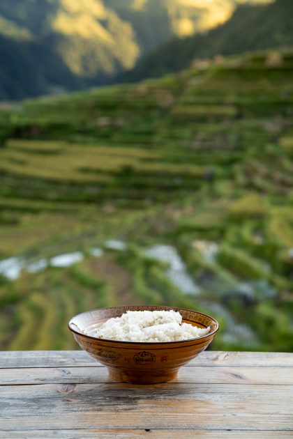 Guizhou-Rice-Harvest