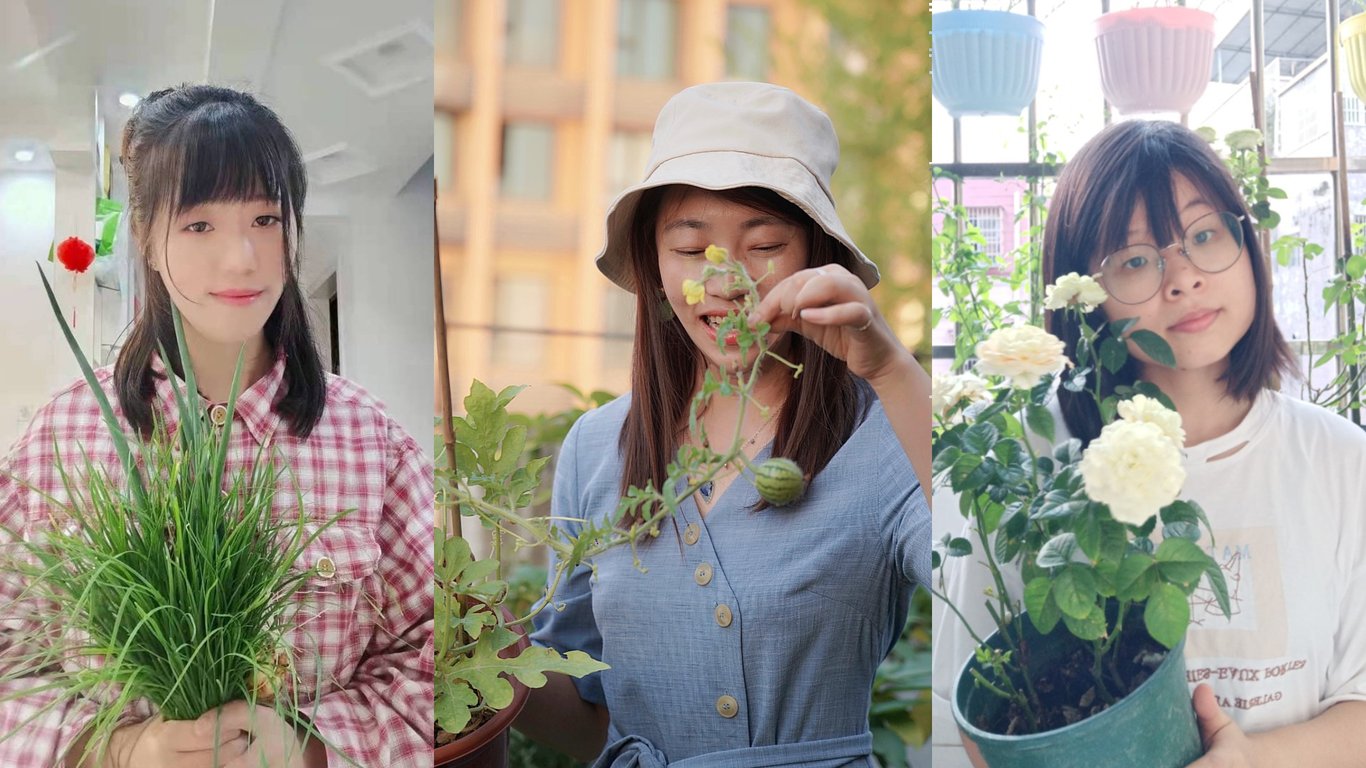 vegetable-garden-balcony-youth