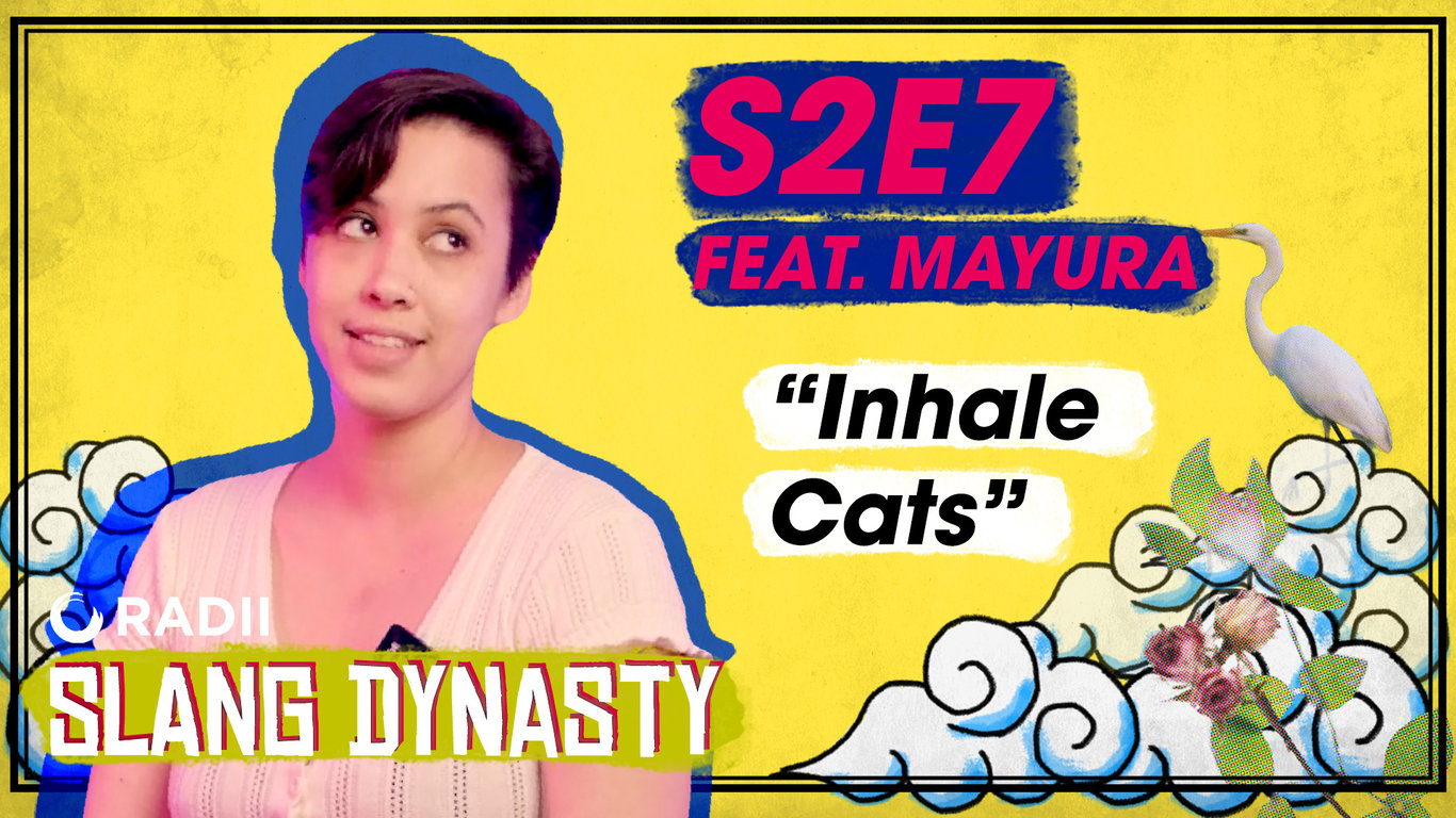 slang dynasty cat Mayura