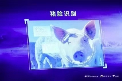 facial recognition for pigs jd.com