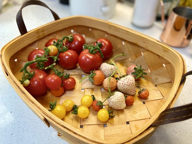 vegetable-garden-balcony-hu-food