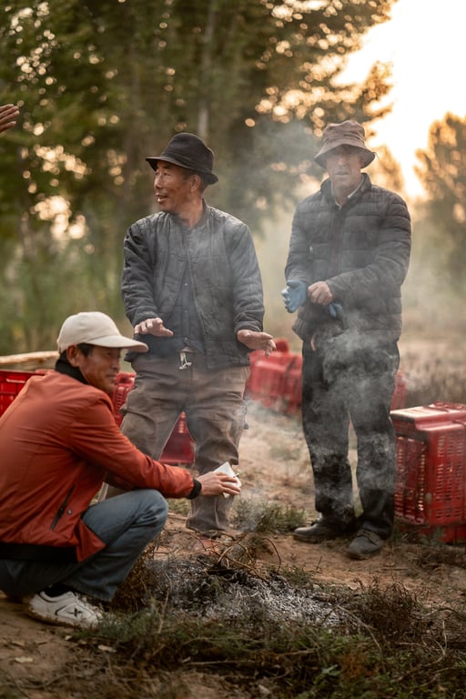 Winemaking in Ningxia China