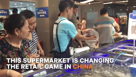Feature image of Watch: TechNode Tries Alibaba’s Hema Supermarket