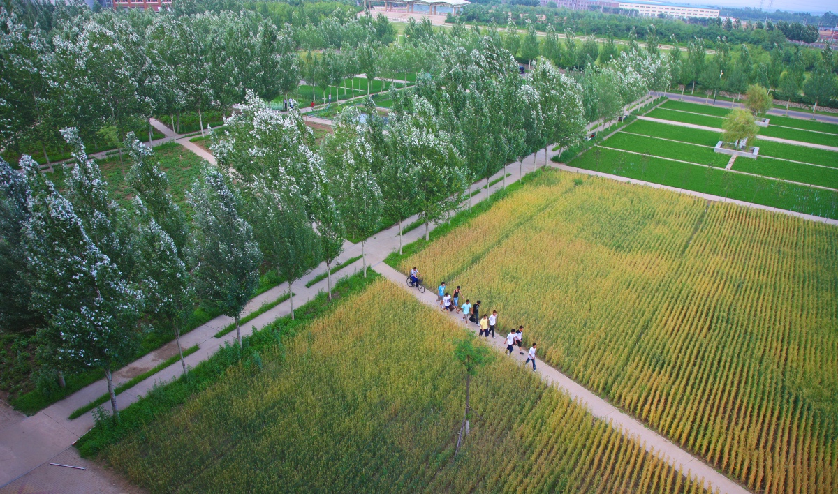 turenscape sponge cities jianzhu university china