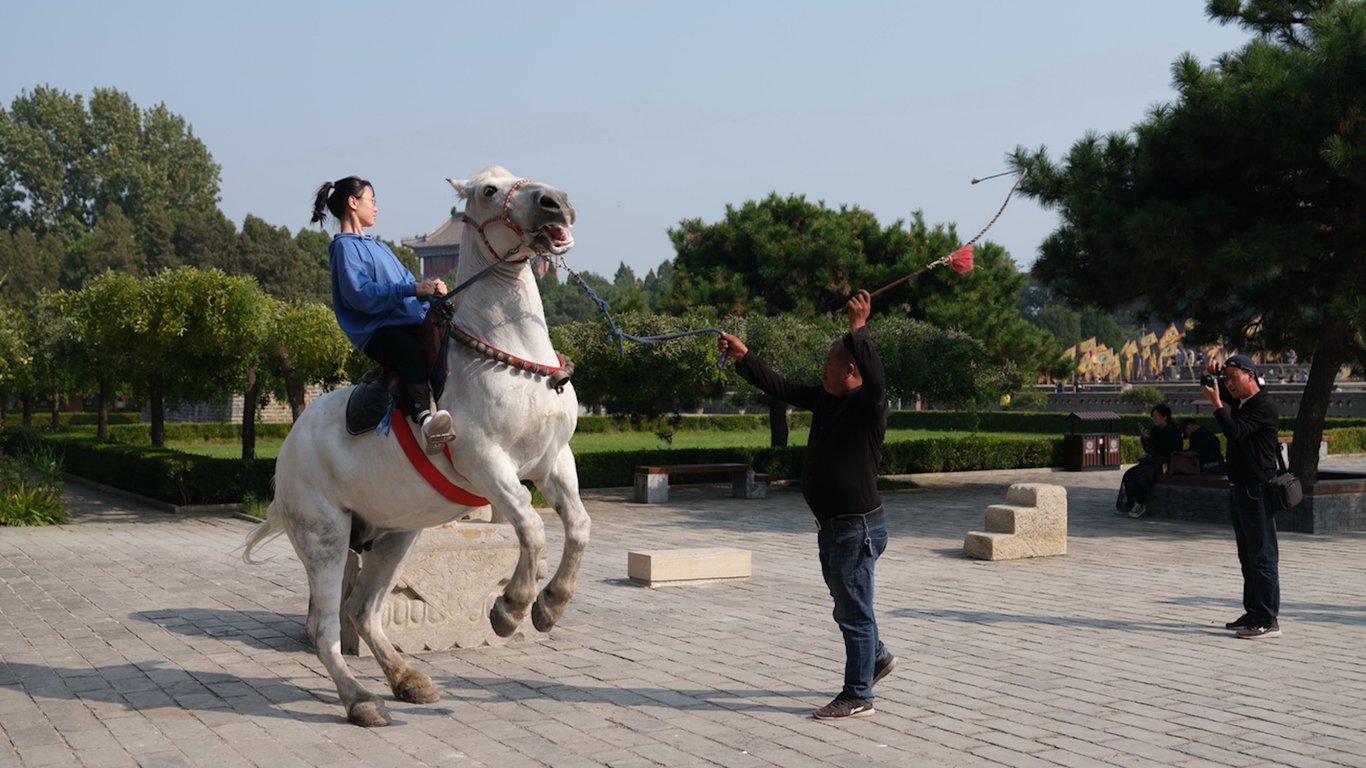 Yishu Wang Horse