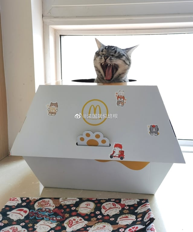 cat box mcdonalds