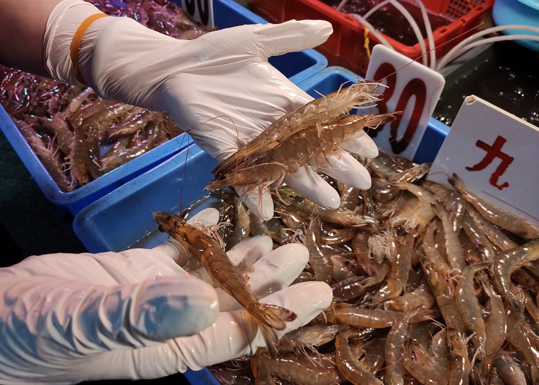 seafood wet market guangzhou