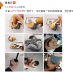Wang Sicong hotdog meme