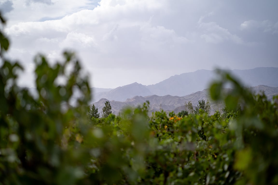 Helan Mountains, Ningxia