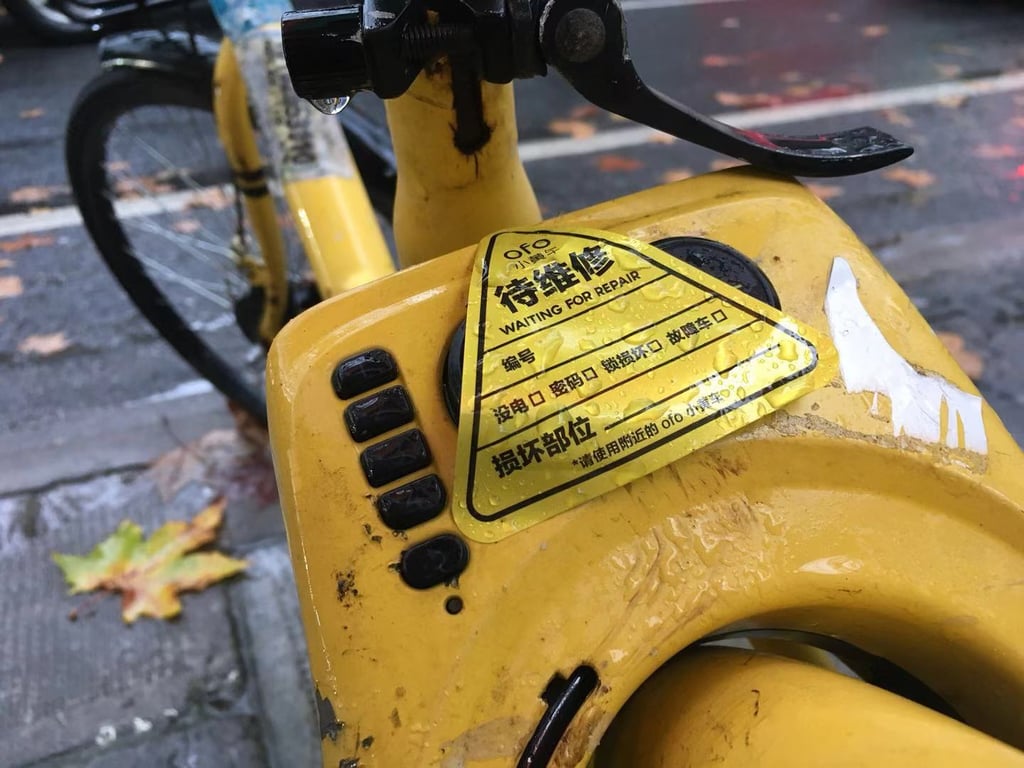 ofo bust china bike share