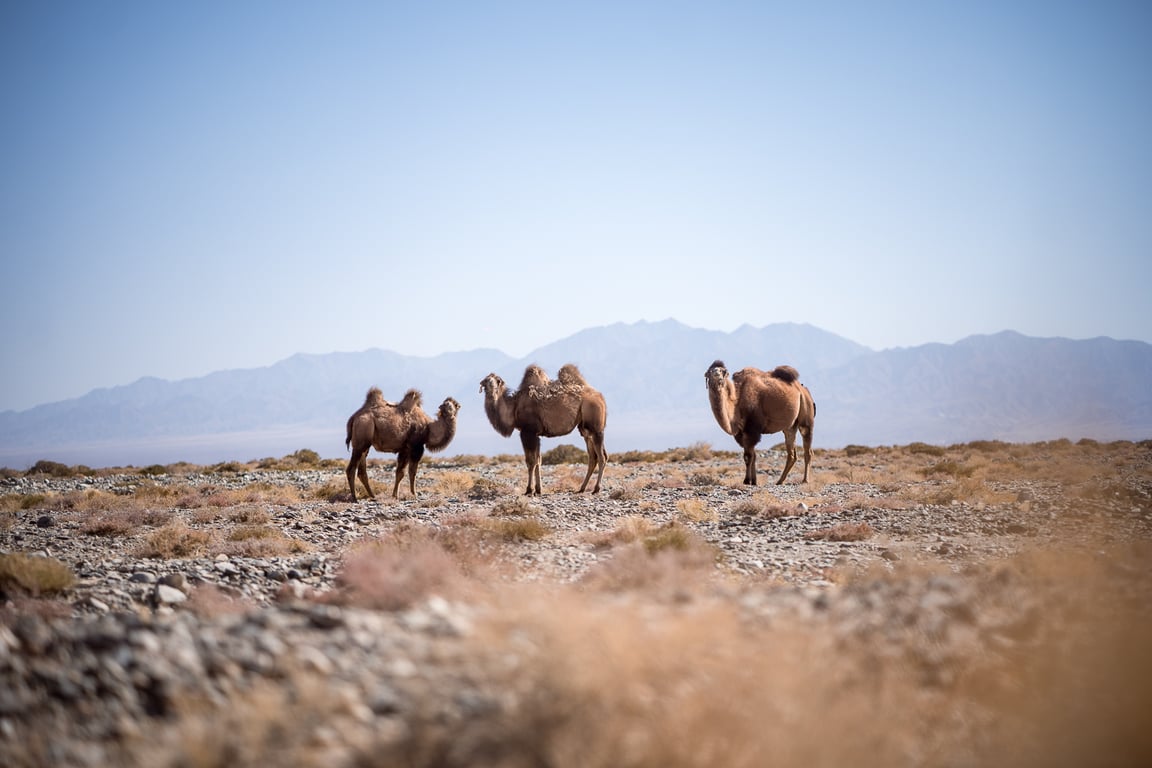 West China’s Gansu province