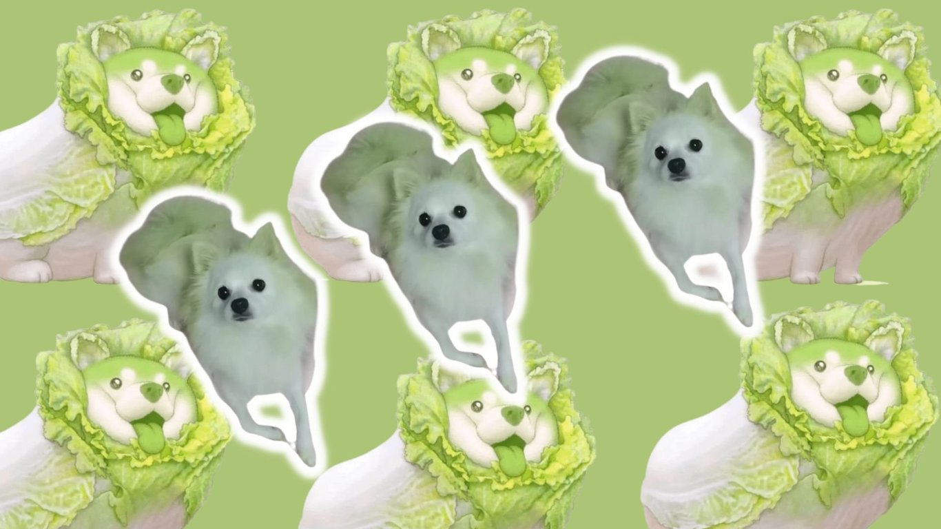 Dog Abuse That Even Vegans Can Get Behind — RADII