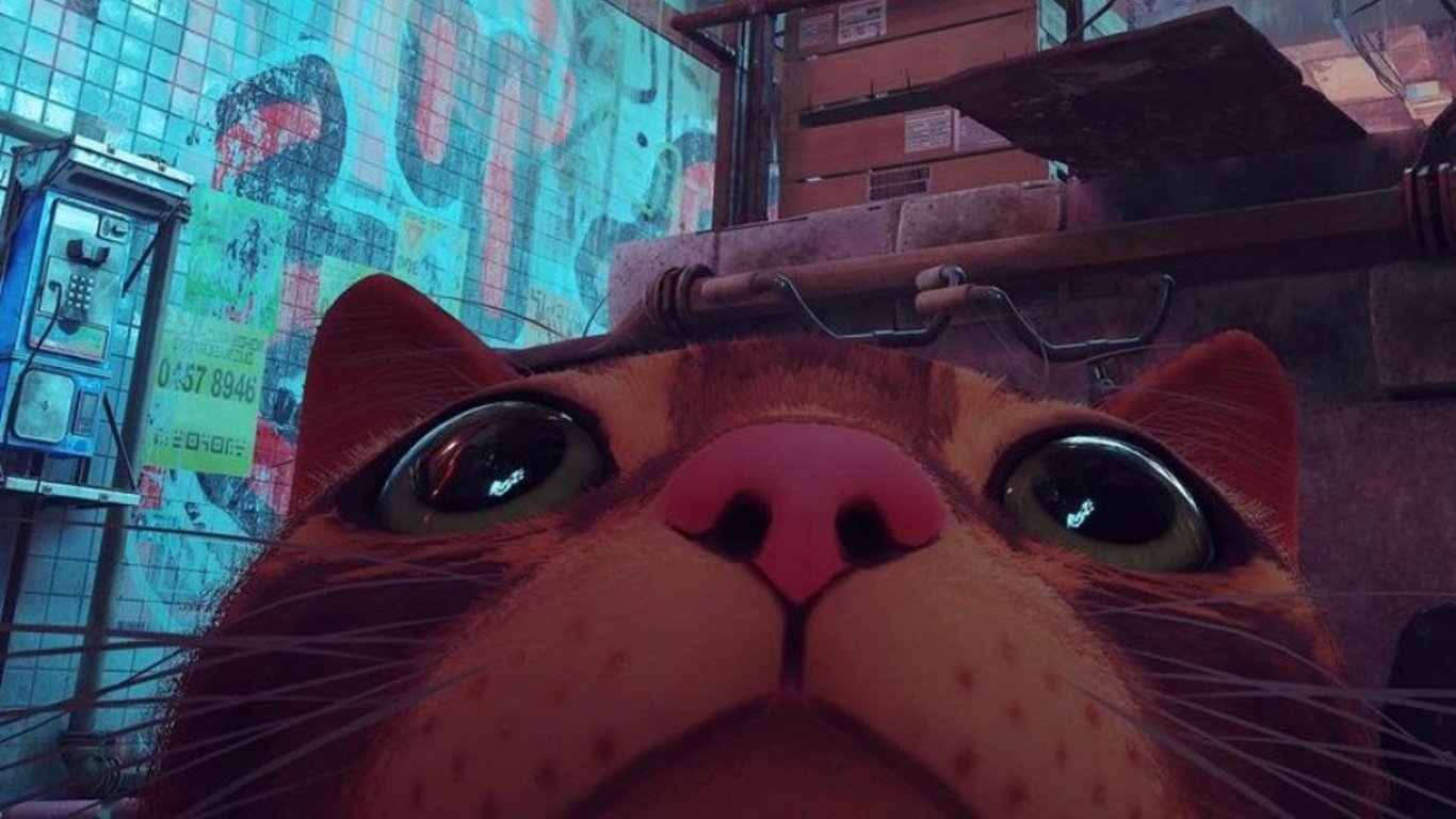 Stray' — the videogame where you play as a cat — is breaking the