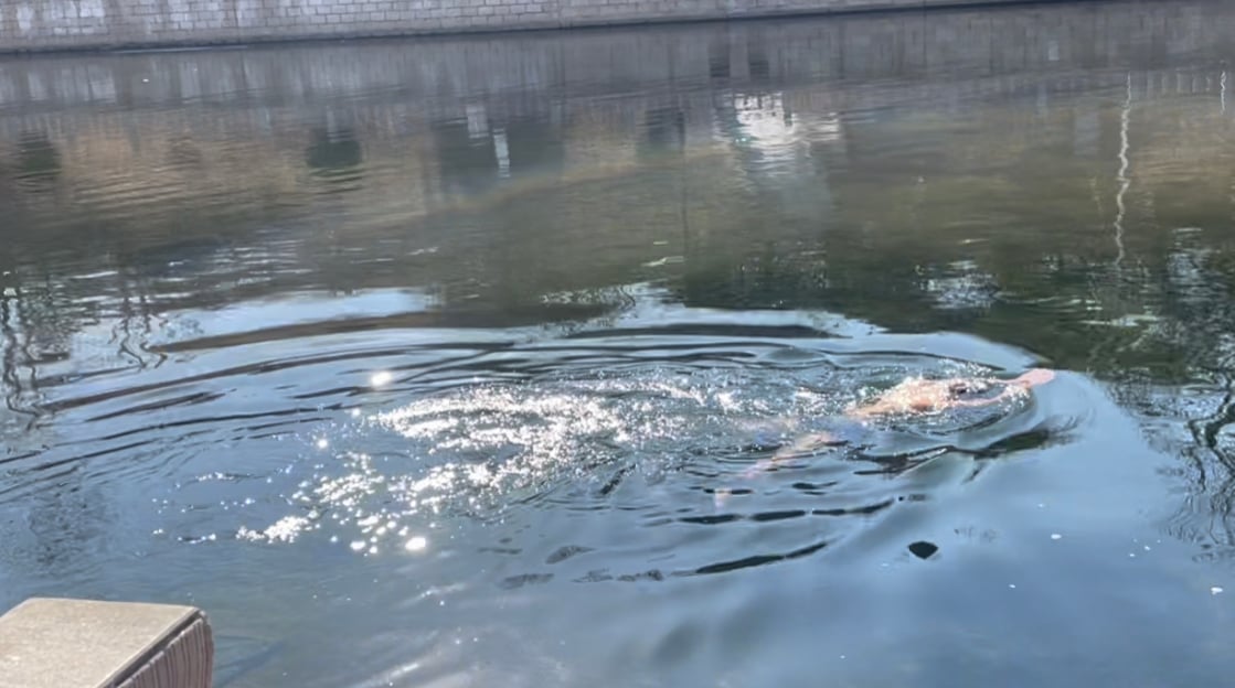 Winter Swimming