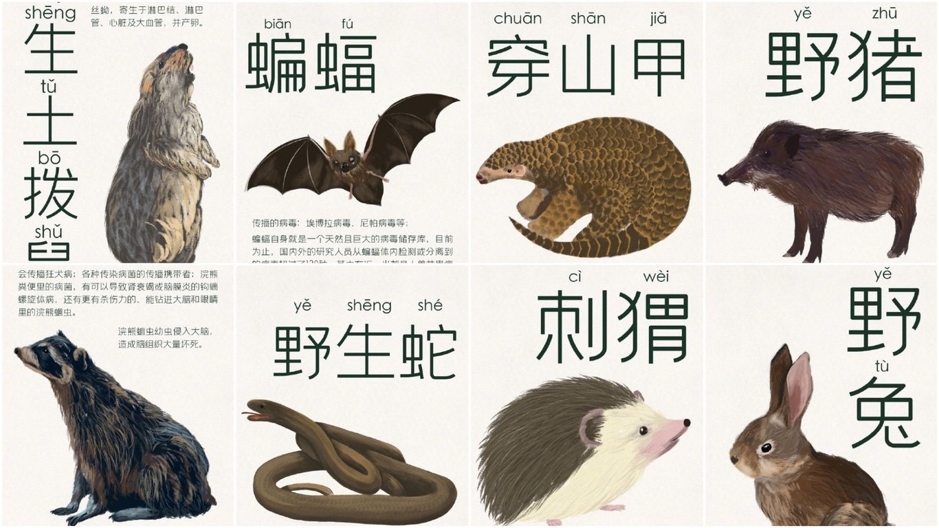 Wuhan Wildlife ban